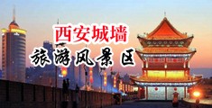 老美女骚逼日逼AV中国陕西-西安城墙旅游风景区